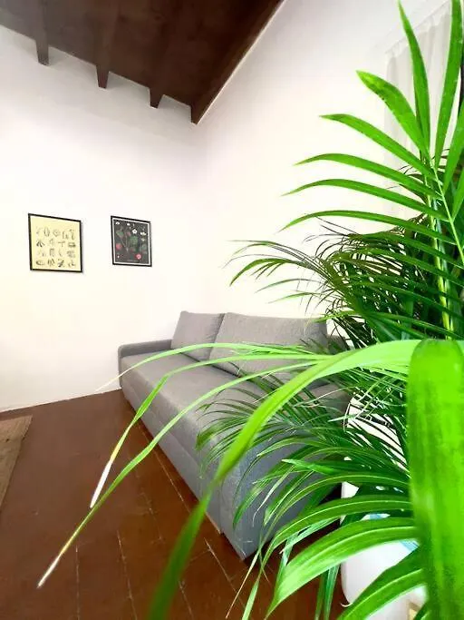 Casa Centro Firenze Wi Fi Aria Condizionata Netflix Lägenhet Italien