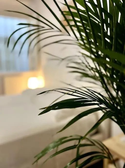 Casa Centro Firenze Wi Fi Aria Condizionata Netflix Lägenhet Florens